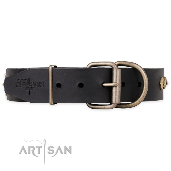 Collare per passeggiate con cane FDT Artisan