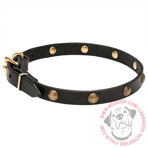 Collare "Elegant Beauty" largo 2 cm per Labrador Retriever - Clicca l'immagine per chiudere